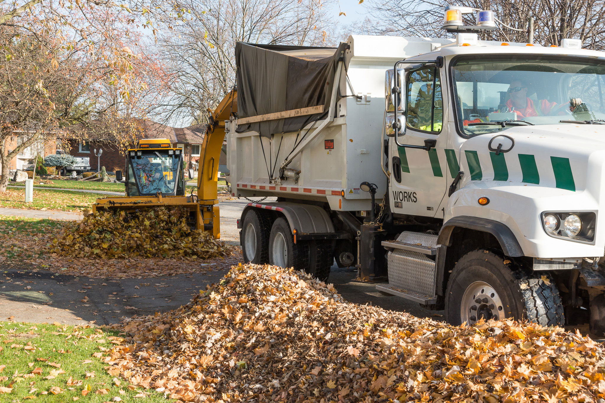 trackless leaf loader performing leaf cleanup and leaf collection on a municipality's street in autumn