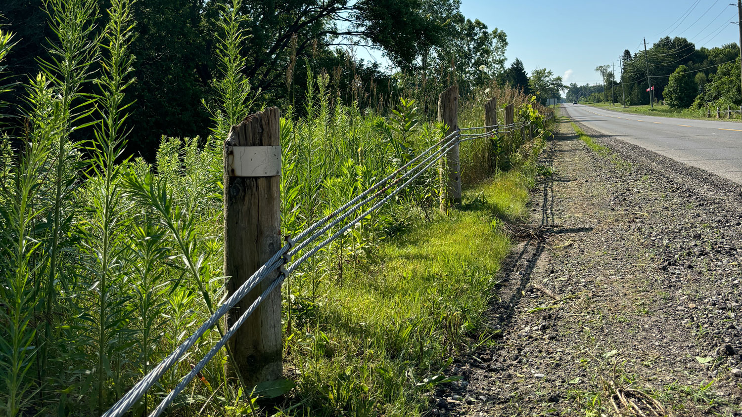 snow on ground after trackless vehicles 5-position folding v-plow attachment on sidewalk tractor